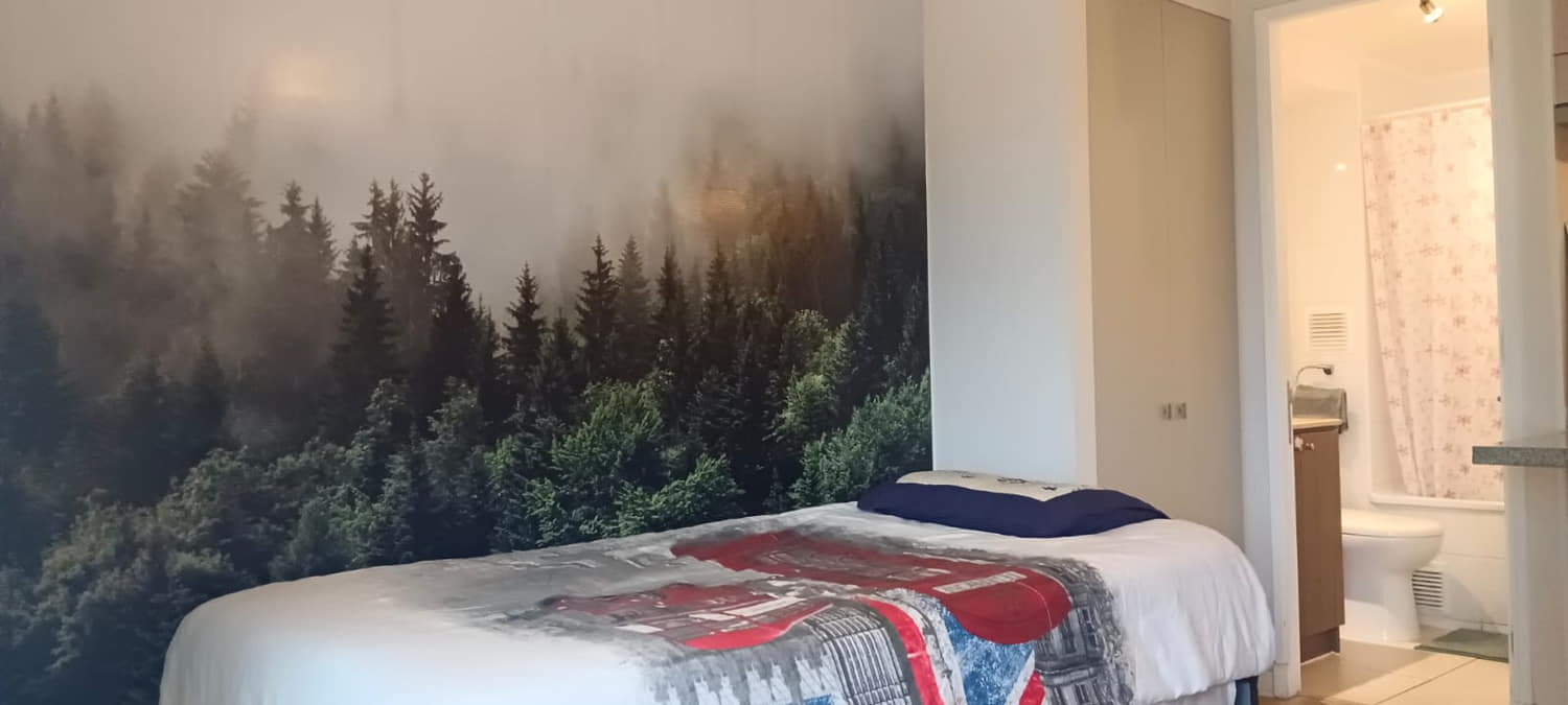 pieza en arriendo con baño privado y acceso independiente en viña del mar